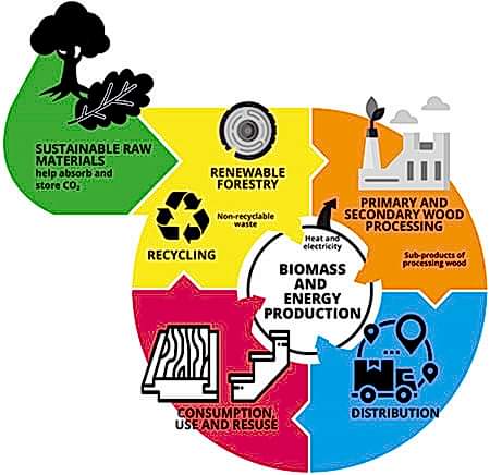 Circular Economy